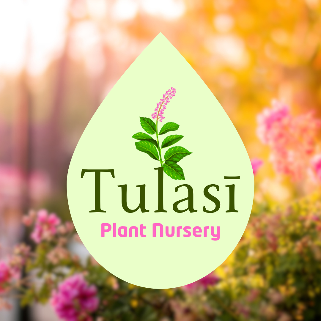 Plant Nursery Logo